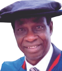 Prof Nkem Okoh